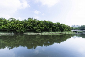 元朗排水绕道浅水池