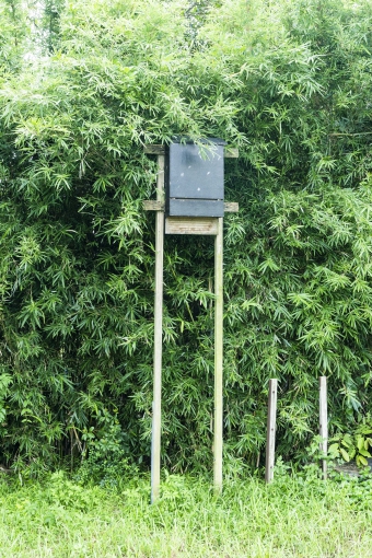 朗排水绕道人工湿地蝙蝠屋
