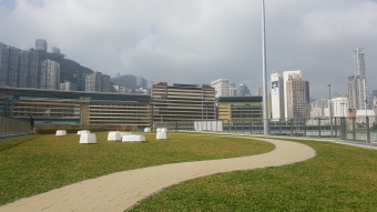 泵房绿化天台