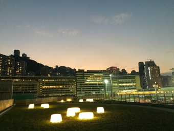 泵房绿化天台