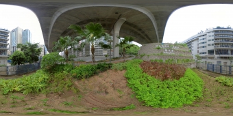 蝴蝶谷道宠物公园 (360度全景图)