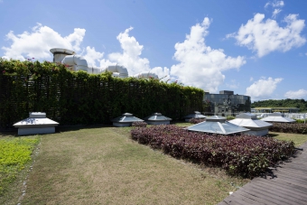 污泥脱水大楼绿化天台