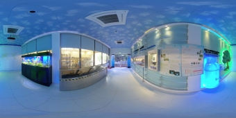 沙田再造水资讯中心 (360度全景图)